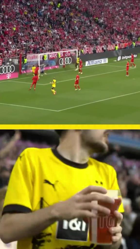 勇者無懼！這是真多特球迷！在拜仁球迷區一個人肆意慶祝！